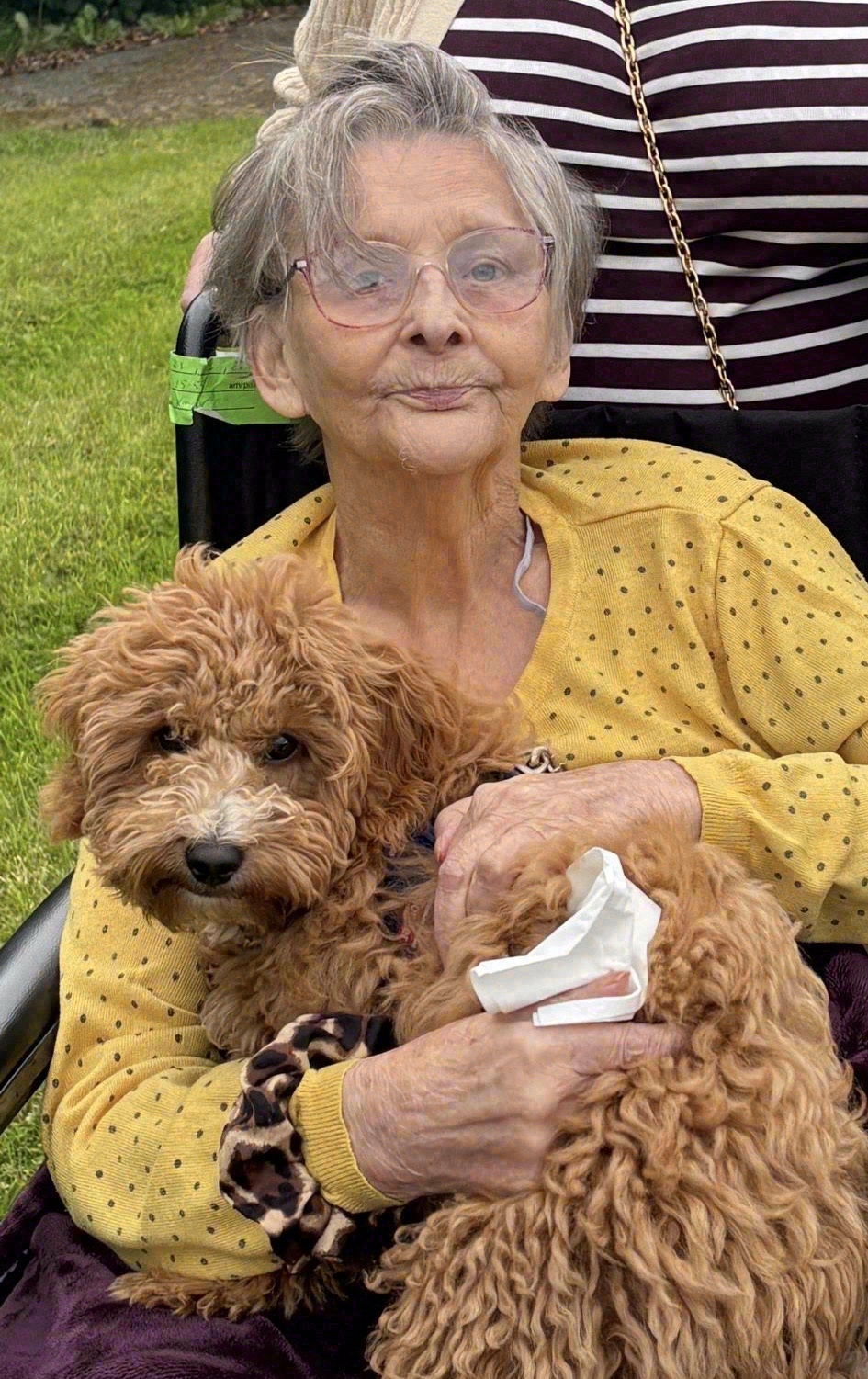 Anne Murphy