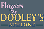 Dooleys_logo_b930318df0e6e5d82cdf25fceaf4d3955dc1492e30b52734.gif