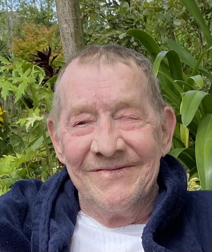 Death Notice of Michael Downey (Kilrane, Wexford) rip.ie