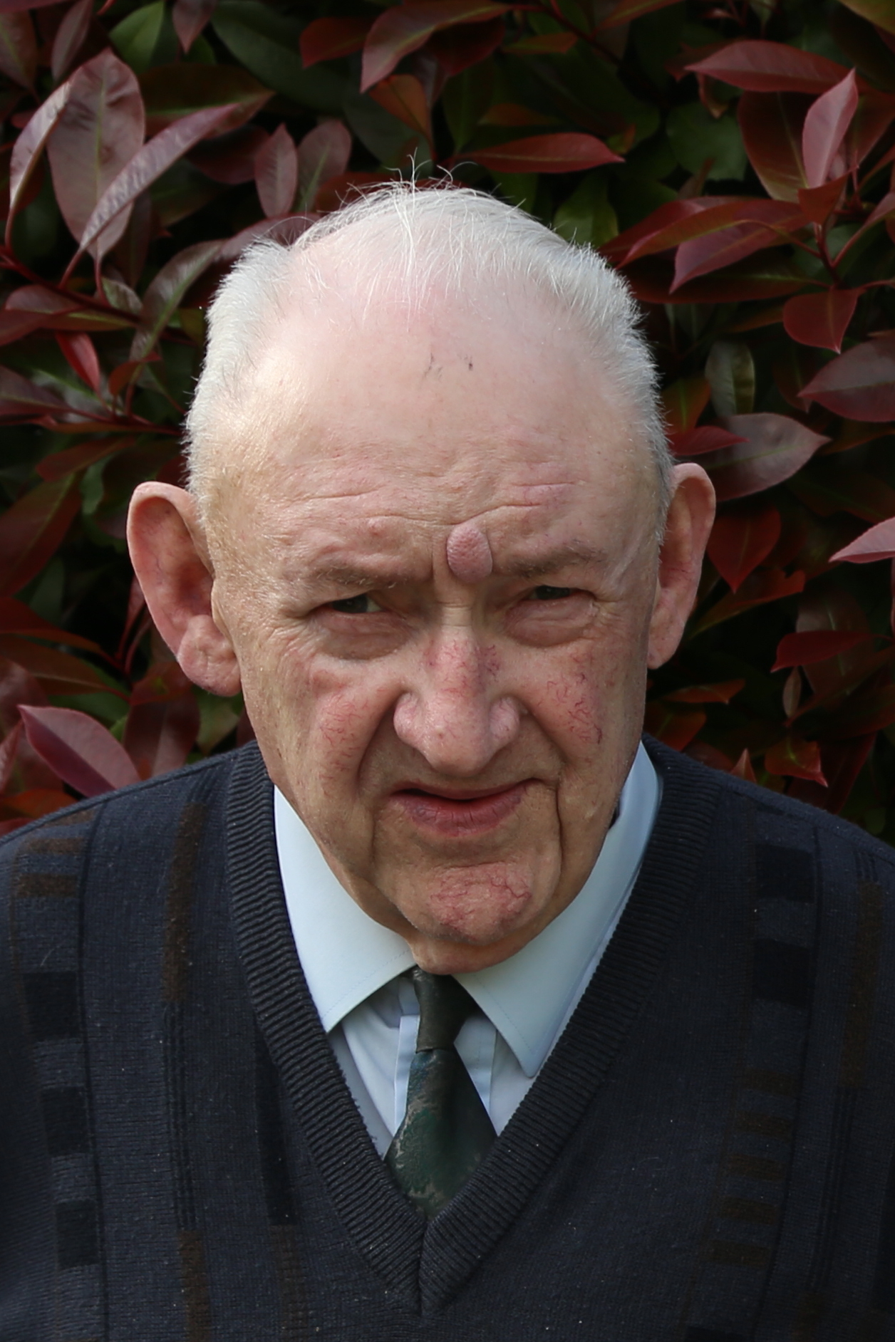 Death Notice of Peter Spillane (Midleton, Cork) | rip.ie