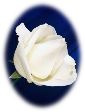 Mary (Nan) (née Brennan) McARDLE