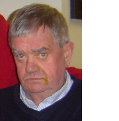 Death Notice Of Joseph Keaveney (Harold's Cross, Dublin) | Rip.ie