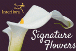 signature flowers_logo.gif