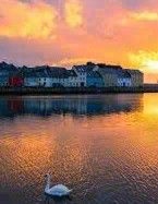 Alexandra (Sandy) (née Hehir) Hehir-Mullagh