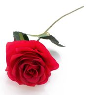 Dolores (Lolo) O'Reilly