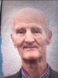 Patrick (P.J.) Flanagan