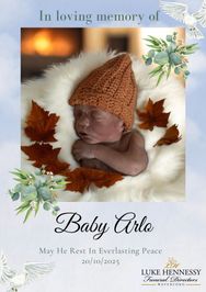 Baby Arlo Matthew Sheridan O` Danza