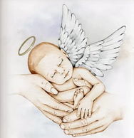 Baby Teddy David QUINN