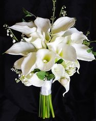 Francesca Di Cioccio