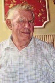 Denis Cremins