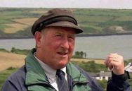 Donal Herlihy