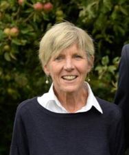 Fíona Mhic Dhomhnaill (Ní Shíocháin)