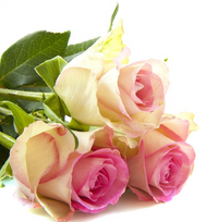 Bláthnaid (Florrie) Bn. Uí DHUBHTHAIGH