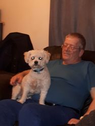 Brendan (Budgin) Mitchell