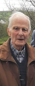 Patrick (Paddy) Skehan