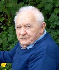 Paddy Leader