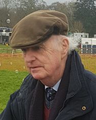 Donal Mullins