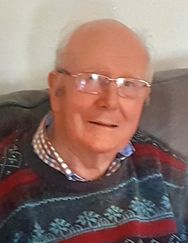 MICHAEL JOHN FITZGIBBON