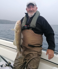 Robert Michael Judson