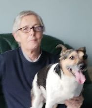 Ronald (Ronnie) Gleeson