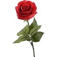 Edward (Eddie) Jackson