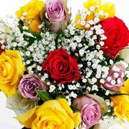 Anne Patricia (Paddy) Roberts