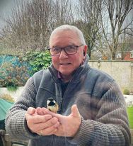 Thomas Patrick Donohoe