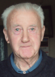 Taimín Dan Ó Droighneáin