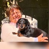 Phyllis (Fifi) Taylor