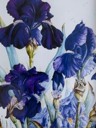 Philomena Hunt