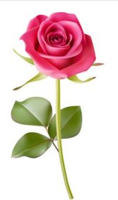 Pat (Patricia) Murray