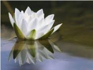 Margaret (Peggy) Hughes