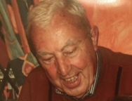 John Walsh M.R.C.V.S.