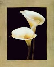 Mary C O'Keeffe