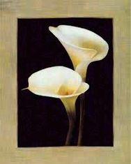 baby Kevin Flaherty Langan