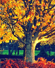 Patrick Joseph Kenehan