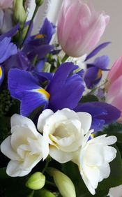  Susan (Sue) O'Riordan